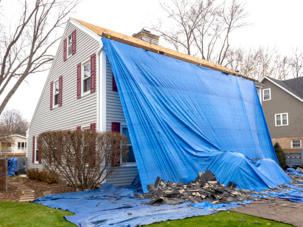 Professional Siding Installation & Repair in Fort Polk North, LA